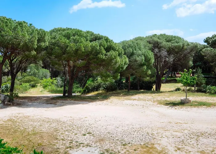 Playa Papiros Apartment